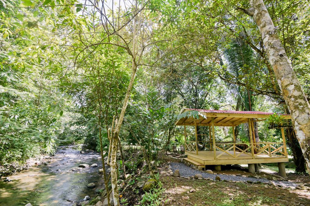 Hotel El Mono Feliz Ojochal
